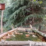 photo 2023-10-04 09-28-04