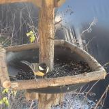 photo 2019-12-26 13-11-24