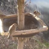 photo 2019-03-13 07-23-43