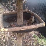 photo 2019-02-22 13-48-46