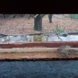 photo 2021-11-28 15-17-21