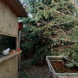 photo 2022-01-02 14-17-05