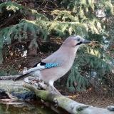 photo 2023-10-22 16-06-27