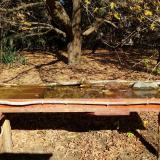 photo 2021-10-23 11-30-43