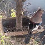 photo 2019-12-22 13-18-48