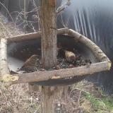 photo 2019-03-04 09-22-21