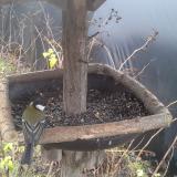 photo 2019-12-25 10-14-19