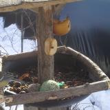 photo 2019-01-29 10-55-05