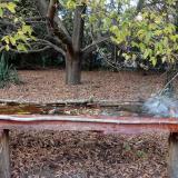 photo 2021-10-19 16-54-38