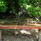 photo 2021-05-15 10-59-12