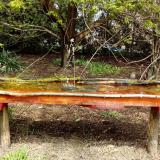 photo 2021-04-15 12-27-25