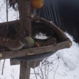 photo 2019-01-27 11-33-49