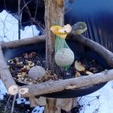 photo 2019-01-14 12-47-50