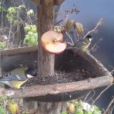 photo 2019-12-05 13-47-47