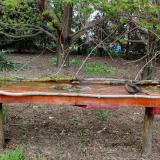 photo 2021-04-17 16-48-41