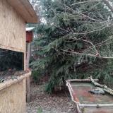 photo 2022-01-08 13-49-47