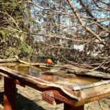 photo 2022-03-21 13-52-28