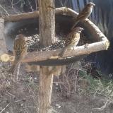 photo 2019-02-20 12-50-32