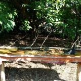 photo 2021-09-13 10-03-55