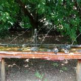 photo 2021-08-04 13-46-46