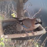 photo 2019-12-25 12-19-23