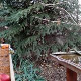 photo 2021-11-12 15-42-24