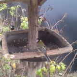 photo 2019-12-13 14-20-47