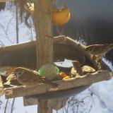 photo 2019-01-27 09-13-25