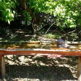 photo 2021-05-10 10-31-56