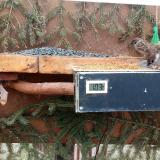 photo 2021-03-04 10-06-56