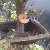 photo 2019-12-05 12-43-31