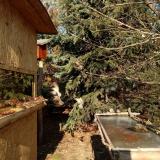 photo 2022-01-12 13-05-35