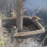 photo 2019-12-31 11-43-18