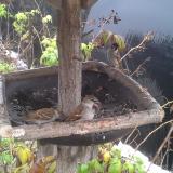 photo 2019-12-02 09-38-42