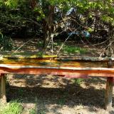 photo 2021-04-22 12-22-38