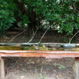 photo 2021-08-23 12-29-37