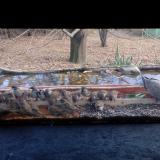 photo 2021-11-27 14-11-24