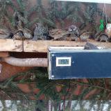 photo 2021-02-15 07-56-50