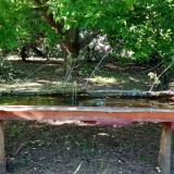 photo 2021-05-11 16-41-52