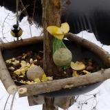 photo 2019-01-12 12-27-15