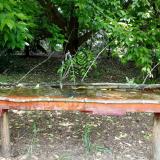 photo 2021-05-25 11-35-57