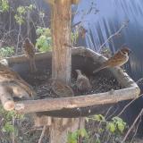 photo 2019-12-16 11-17-34