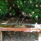 photo 2021-09-13 14-12-23