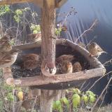 photo 2019-12-13 13-26-13