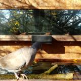 photo 2023-10-28 10-23-19