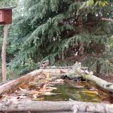 photo 2023-10-08 12-24-23