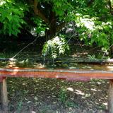 photo 2021-05-26 10-43-40