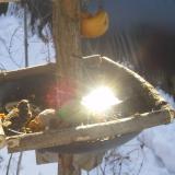 photo 2019-01-27 10-11-42