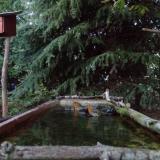 photo 2023-10-10 18-08-05