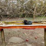 photo 2021-03-12 15-04-04